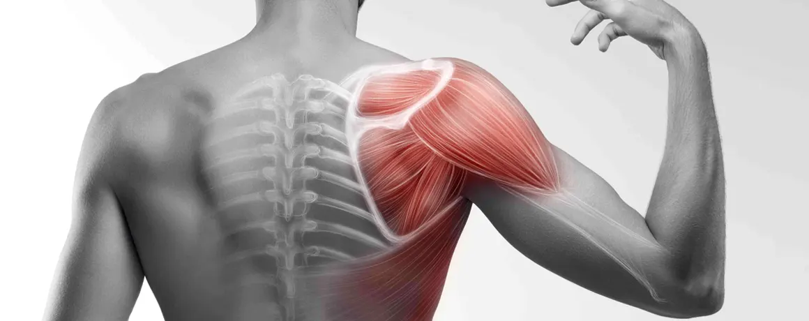 Shoulder pain and chiro